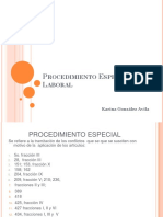 Procedimiento Especial Laboral