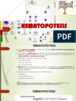 HEMATOPOYESIS