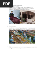 Proceso de Elaboracion de La Mermelada