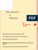 Dnareplicationeukaryotes by Shabnam