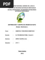 Distribucion Huito