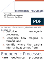 Lesson 8 - Endogenic Processes