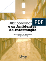 E Book Biblioteconomia e Os Ambientes de Informacao