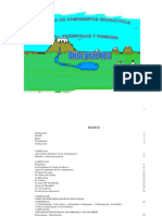 LIBRO Campamento Nivel Preescolar y Primaria PDF