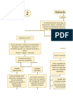 Mapa Conceptual S.F