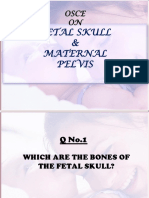 Fetal Skull &pelvis New