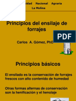 Principios Del Ensilaje de Forrajes