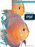 Discus Fish