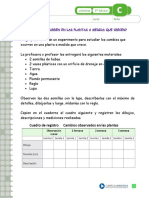 Como Crecen Las Plantas y Cambios Que Experimentan