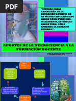 Aportes de La Neurociencia A La Pedagogía - Palomino Cueto Ana María