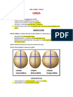 Cabeza y Cuello