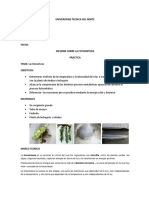 Informe Planta Fotosintesis