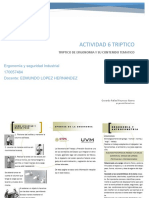 Actividad 6 Triptico