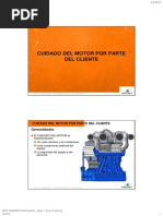 40 Cuidado Del Motor Por Parte Del Cliente1 PDF