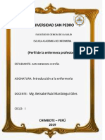 Informe de Enfermeria El Perfil de Enfermera