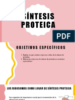 Sisntesis de Proteinas