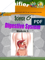 Workbook # Digestive System PDF