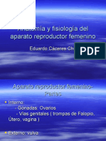 Anatomia y Fisiologia Del Aparato Rep