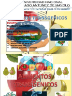 Alimentos Transgenicos