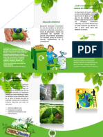 Triptico Del Dia Mundial Del Medio Ambiente