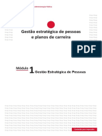 Gestão Estratégica de Pessoas e Planos de Carreira