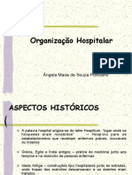 Organizacao Hospitalar-1