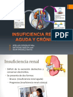 Insuficiencia Renal Aguda y Crónica