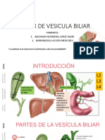 Cancer de Vesicula Biliar