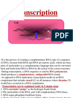 Transcription