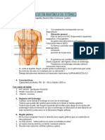 Organizaciòn Anatómica Del Estomágo