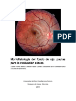 Morfofisiologia Del Fondo de Ojo