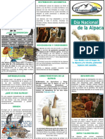 Dia Nacional de Alpaca