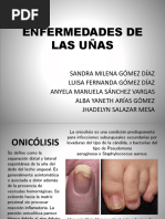 Presentación Enfermedades de Las Uñas