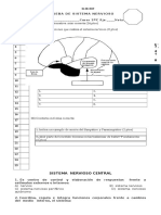 Sistema Nervioso Central: P R O F .: M A B E L S - C - 04-08-2019