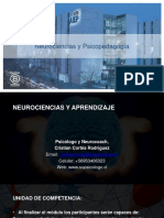 Neurociencias Del Aprendizaje Clase 1