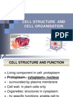 Cell Structure and Cell Organisation