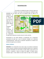 Informe de Maiz Transpiracion