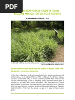 Lemongrass For Cancer Patients