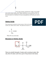 Proteins: Amino Acids