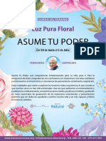 Luz Pura Floral