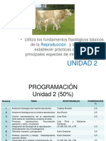 Clase 1. Anatomia Fisiologica Del Aparato Reproductor Masculino.2015.