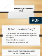 The Material Self