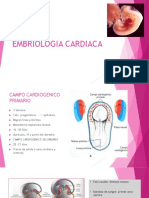 Embriologia Cardiaca