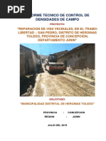 Informe de Densidad de Campo