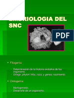 Embriologia Del SNC