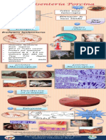 Infografia Disenteria Porcina