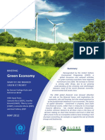 Green Economy - What Do We Mean by Green Economy - 2012main Briefing 2012 - Final PDF