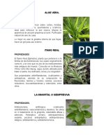 Plantas Medicinales