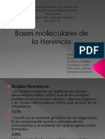 Bases Moleculares de La Herencia