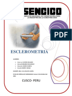 Esclerometria